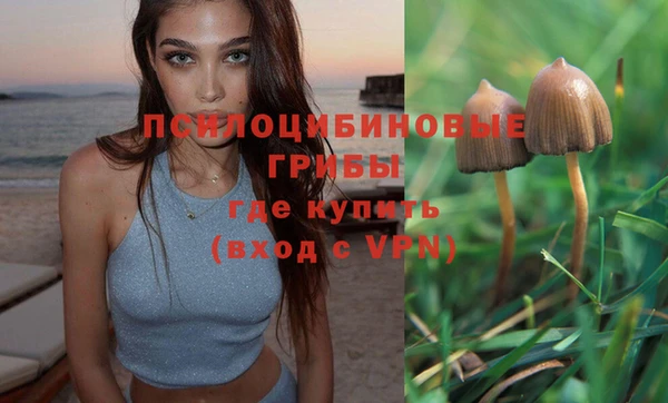 прущие крисы Нягань
