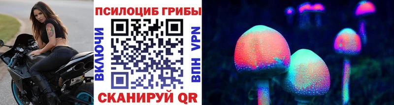 Псилоцибиновые грибы Psilocybe  где продают   Западная Двина 
