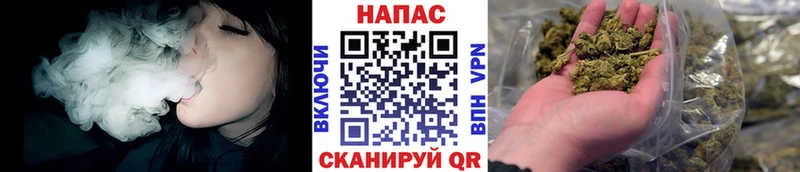 Бошки Шишки конопля  Западная Двина 